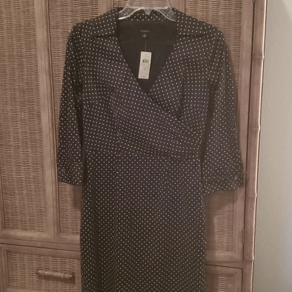 NWT ANN TAYLOR DRESS